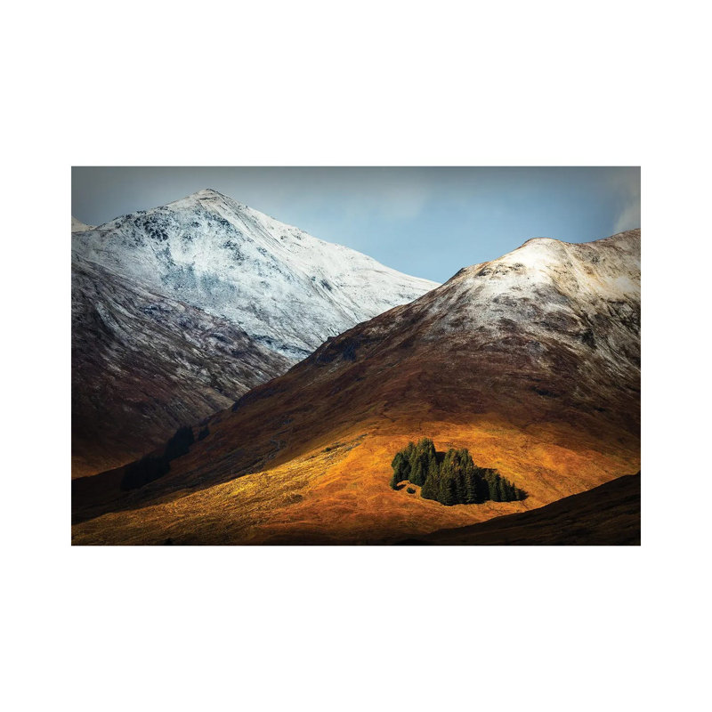Spotlight by Adrian Popan - Wrapped Canvas Print, 20.32 cm H x 30.48 cm W