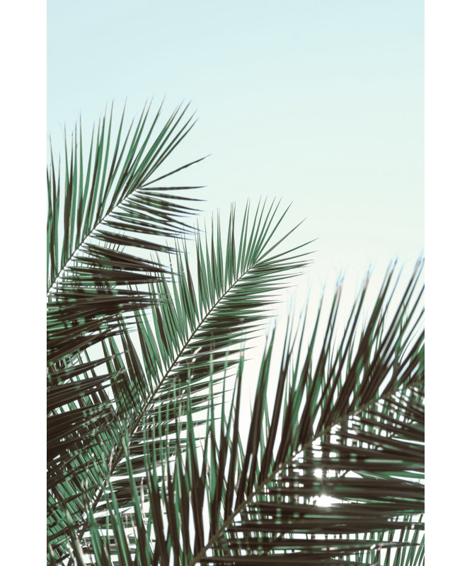 Wrapped Canvas Print, 60.96cm H x 91.44cm W