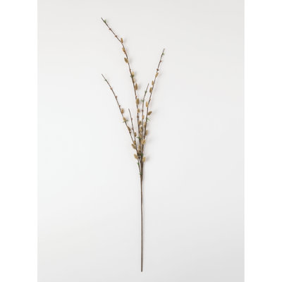 Willow Stems