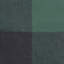 Buffalo Check Throw-1043710548
