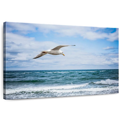 Brampt Seagull Over The Sea