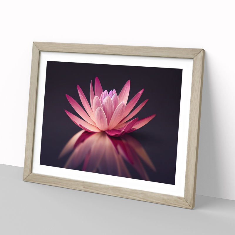 Captivating Water Lily Flower - Single Picture Frame Print, Oak, 34cm H x 46cm W x 2cm D