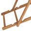 Hayg Folding Beach Chair-1811743318