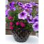 Vermehr Pot Planter-1994024992-1994025435