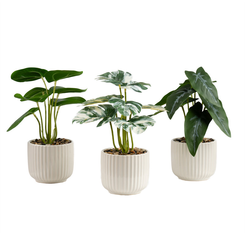 Faux Plants in White Ribbed Pots