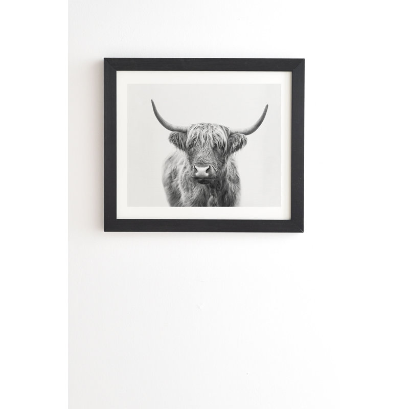 « Highland Bull », reproduction photographique imprimée, H 8 po x l 10 po x P 2 po, Toile tendue, Blanc