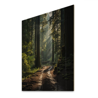 " Canada Cathedral Grove Tranquility "