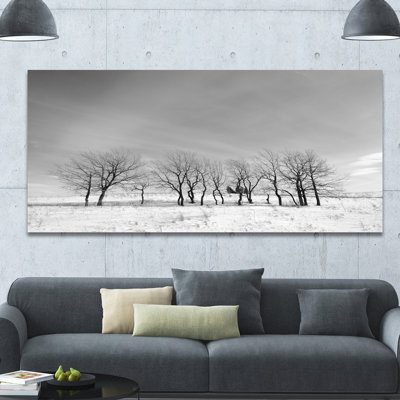 " Black And White Trees In Winter "