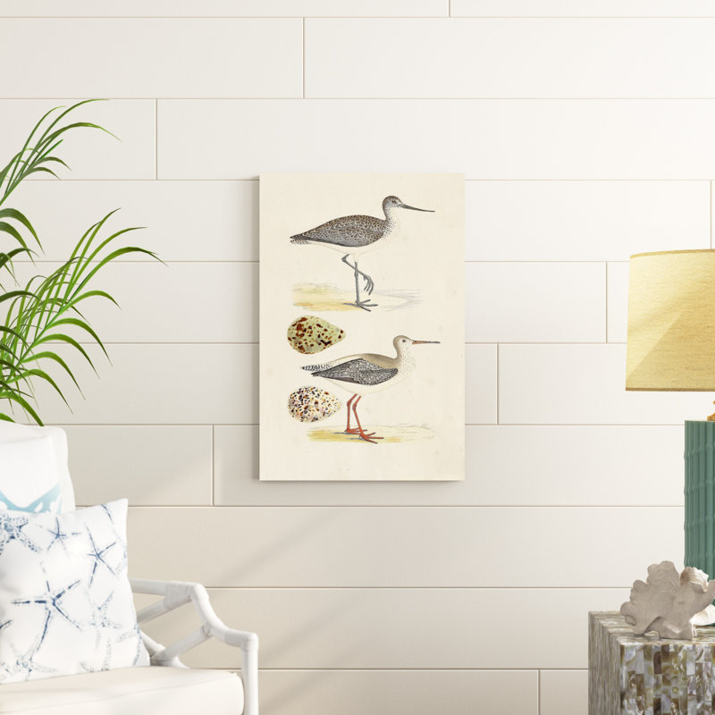 «Sandpipers and Eggs I», impression sur toile, H 30 po x l 20 po