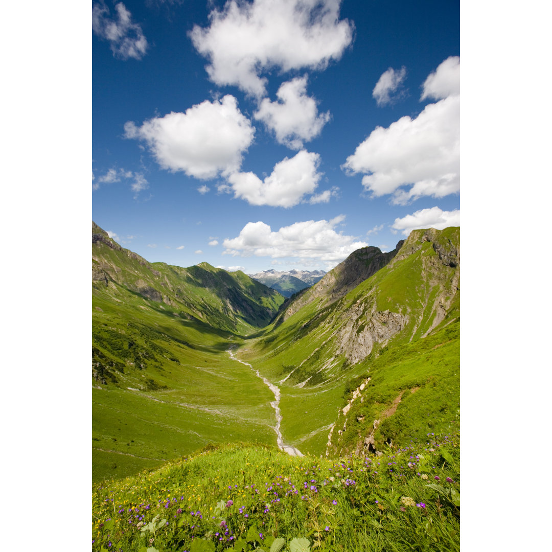 Mountain Meadow von Wingmar - Kunstdrucke auf Leinwand