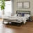 Chime 8'' Firm Innerspring Sofa Bed Mattress-48631248