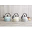 Living Nostalgia 1.4L Stainless Steel Whistling Stovetop Kettle-38264114
