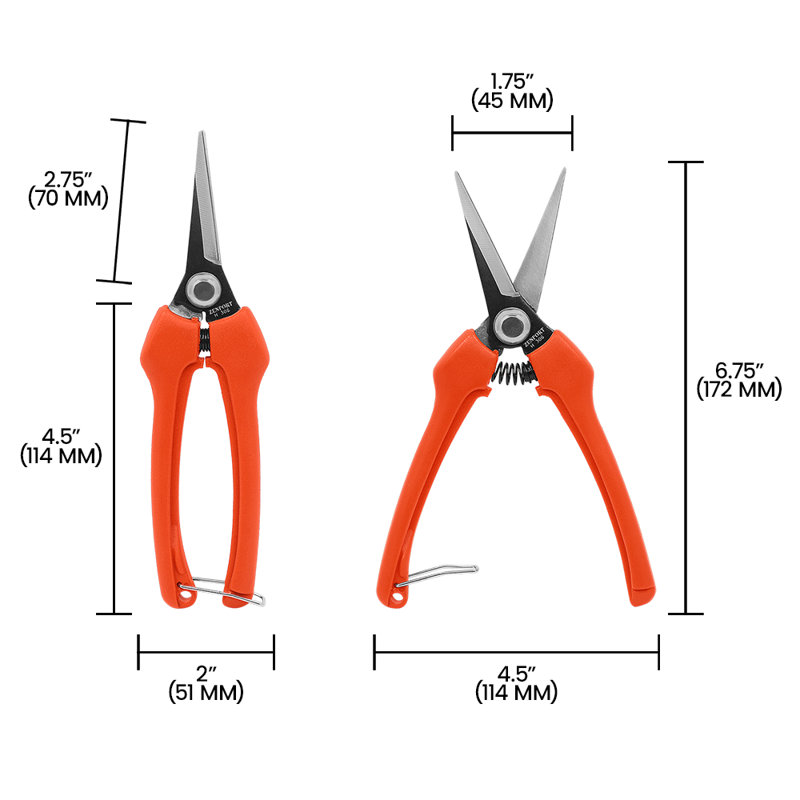 Accessoire de sécateur de style européen, Acier inoxydable
