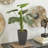 27'' Faux Palm Tree in Pot