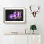 Wild Purple Orchid Flowers - Picture Frame Graphic Art Print-56863828-56863829