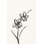 " Ink Botanical Sketch XII " by J. Holland