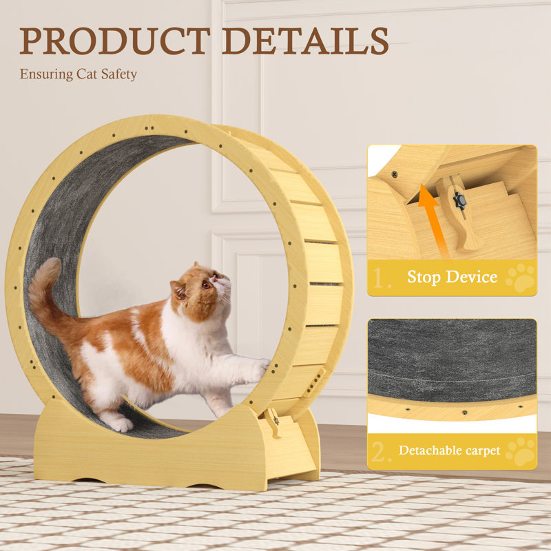 Roue d'exercice moderne en bois pour chat, 46 po
