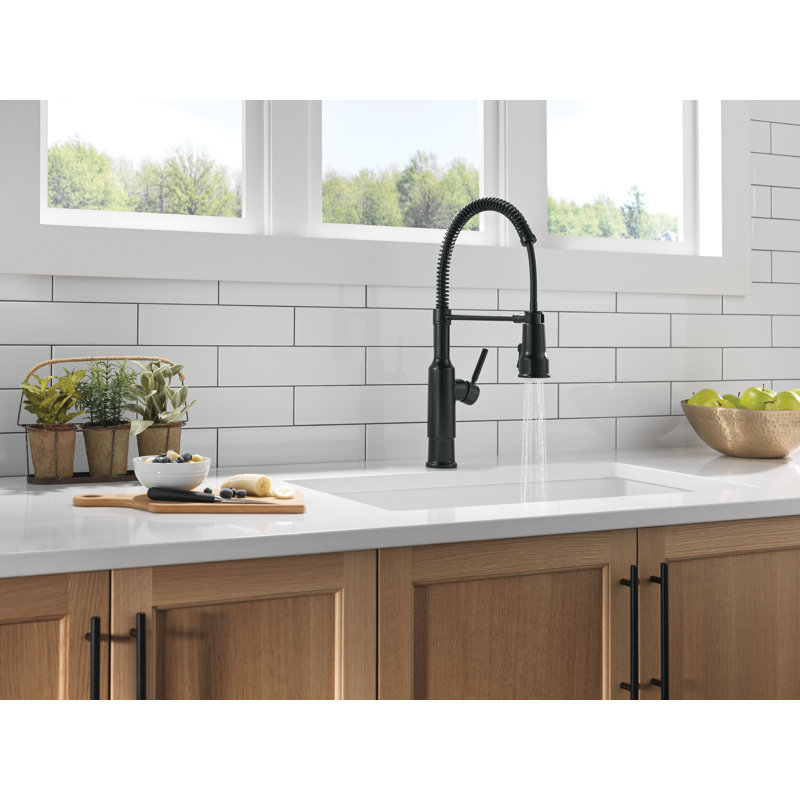 Robinet de cuisine Theodora Pro Style, Noir mat