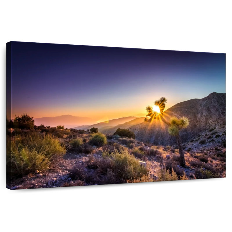 Hannes California Desert Sunrays, H 8 po x l 12 po