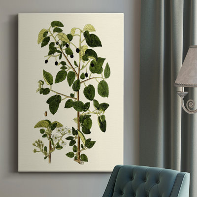 " Olive Greenery V " Painting Print