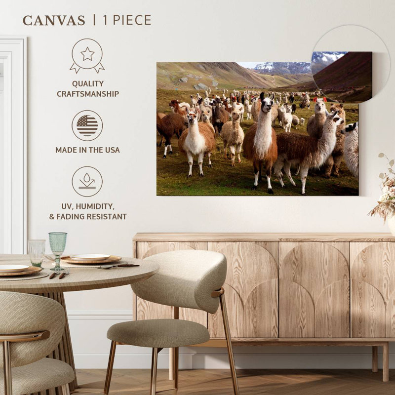 Brampt Peruvian Alpacas And Llamas, 32" H x 48" W