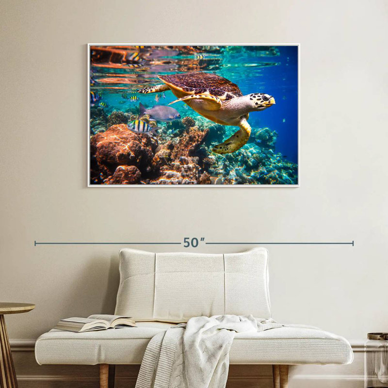 Vie marine vive, Cadre flottant blanc, 40 po x 27 po