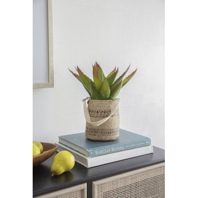 Pot à fleurs en ciment Eralia
