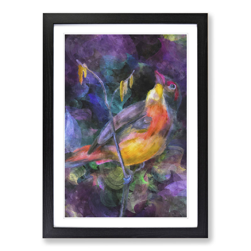Colourful Bird - Picture Frame Graphic Art, 48cm H x 36cm W x 2cm D, Black Framed