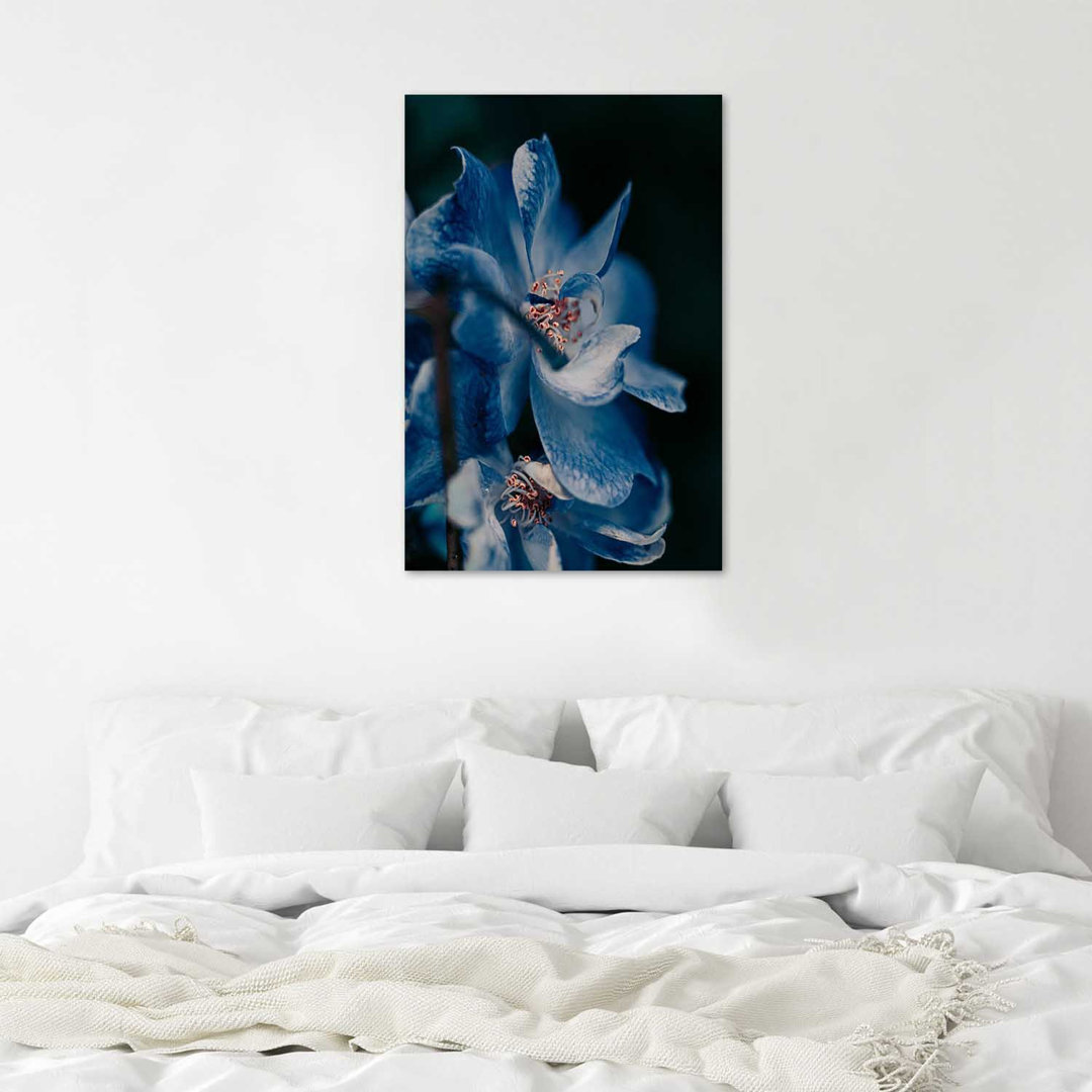 Fotodruck Nahaufnahme einer blauen Blume