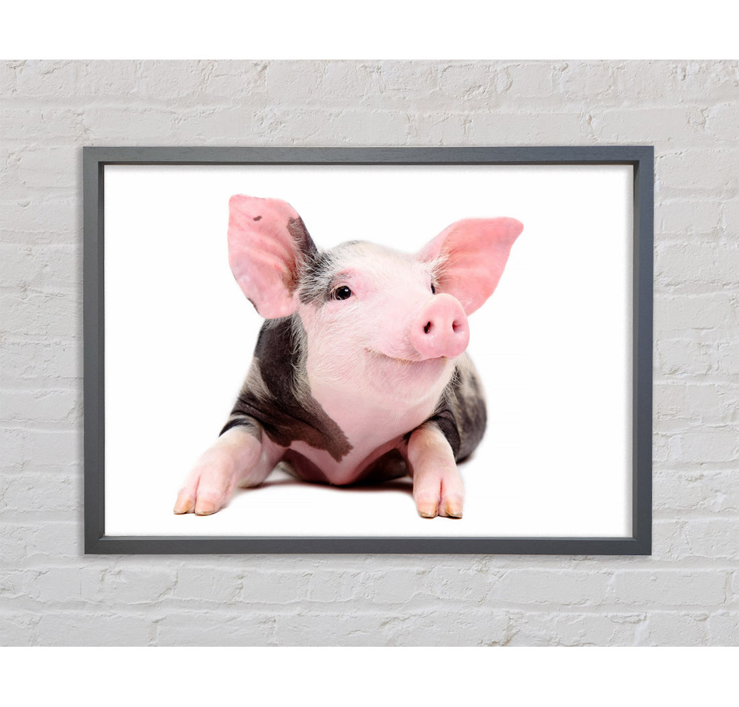 Happy Pig - Einzelner Bilderrahmen Kunstdrucke auf Leinwand