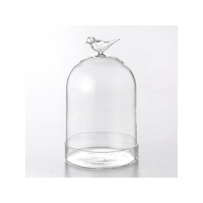 Dôme en verre avec oiseau Nailwell