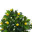 120cm Faux Lemon Plant in Pot