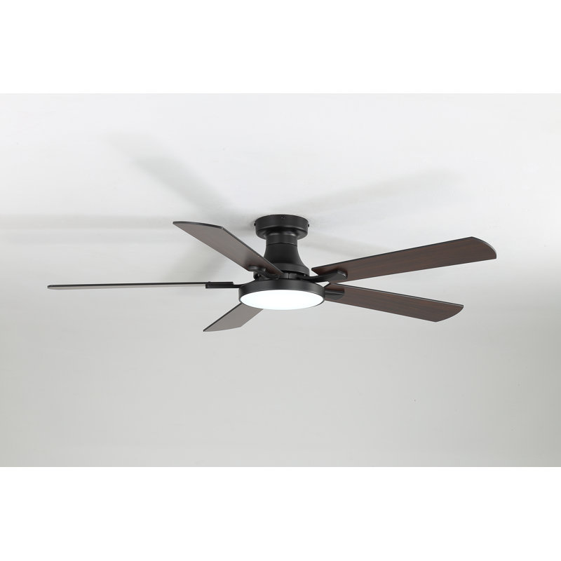  Ventilateur de plafond encastré 52 po RVB noir avec lumière et télécommande pour chambre à coucher, salon, bureau à domicile