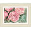 Budding Roses 1 Framed Print