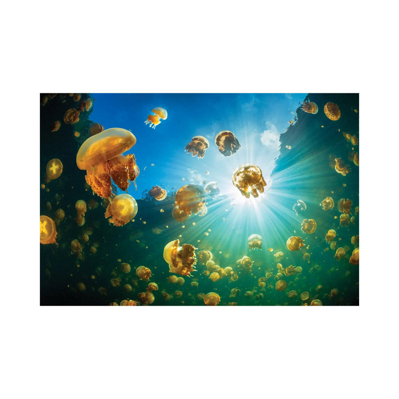 «Sunlight And Jellyfish» par Barathieu Gabriel - photographie sur toile tendue, H 8 po x l 12 po x P 0,75 po