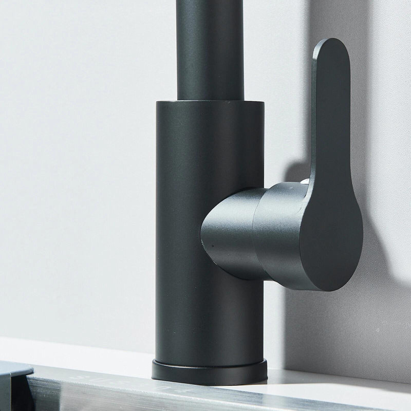 Belfry Kitchen Pull Out Kitchen Faucet