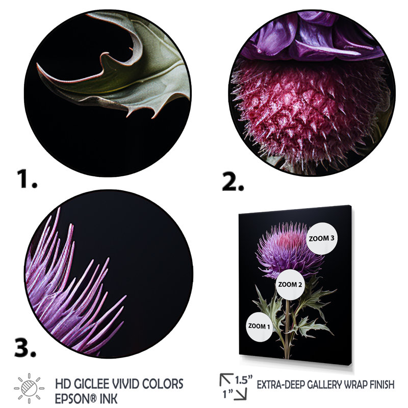 Fleurs de chardon noir II - chardon, art mural, Cadre flottant doré, H 32 po x l 24 po x P 1 po