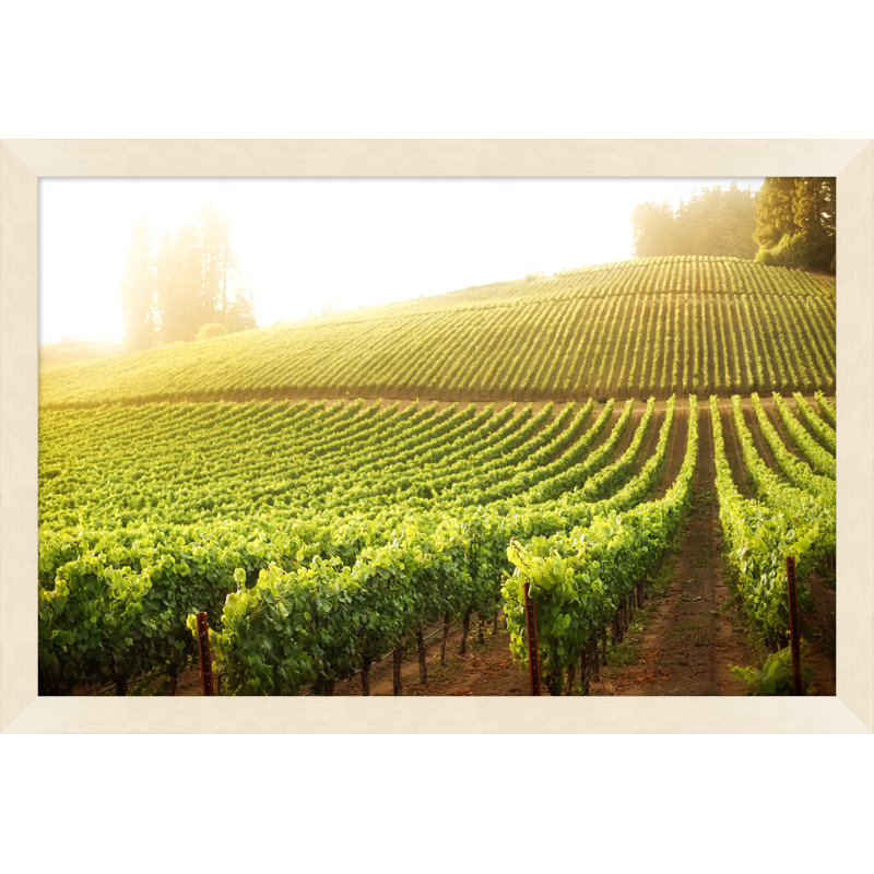 Wine Country Haze 1 Print by Nathan Turner