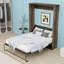 Grand lit escamotable en bois-11866902