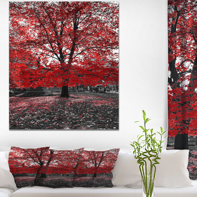 " Red Tree in Central Park " Color Photography Print