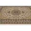 Alarah Oriental Area Rug in Ivory/Brown