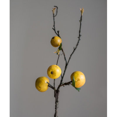 Arrangement
