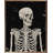 Skelly Portrait Black-1671892662