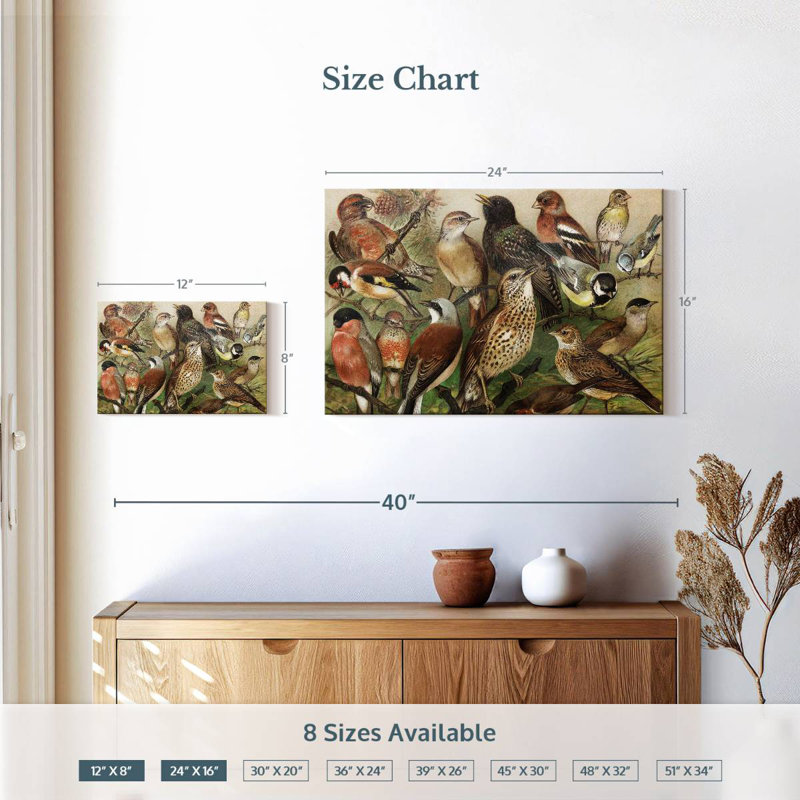 Collection d'oiseaux botaniques Brampt I, H 16 po x l 24 po