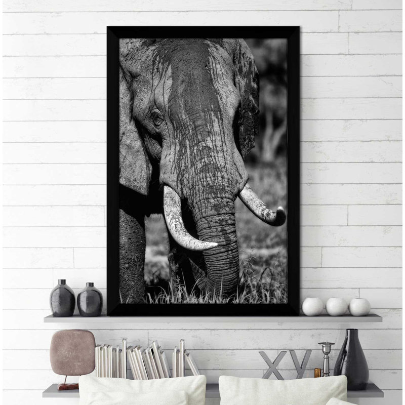 «Golden Eyes», reproduction de photo, H 49,5 po x l 33,5 po x P 1 po, Cadre espresso