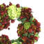 23" Hydrangea, Sedum And Pomegranate Fall Wreath