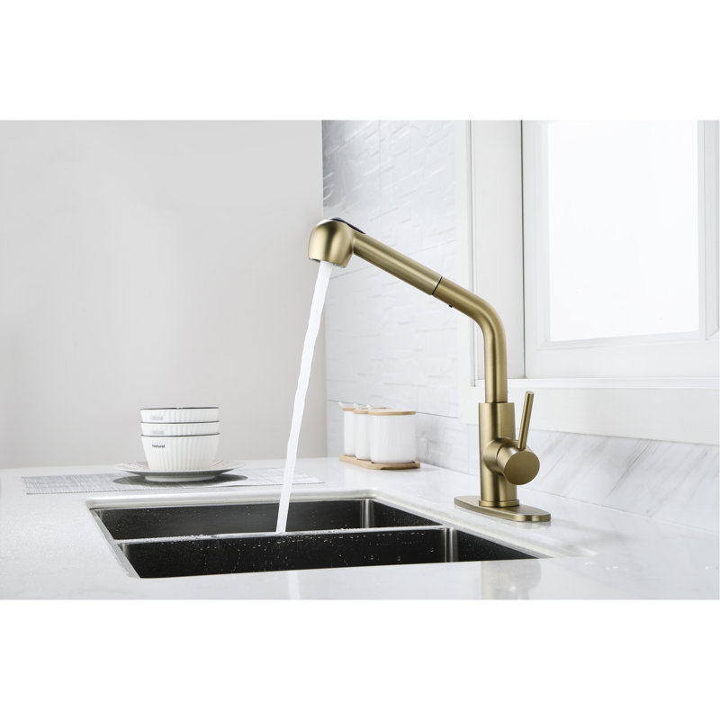 Stainless Steel Gold Kitchen Tap With Dual Spray - Easy Installation Process For Diy Enthusiasts Single Level Faucet In And 360 Degree Swivel Comprehensive Washing