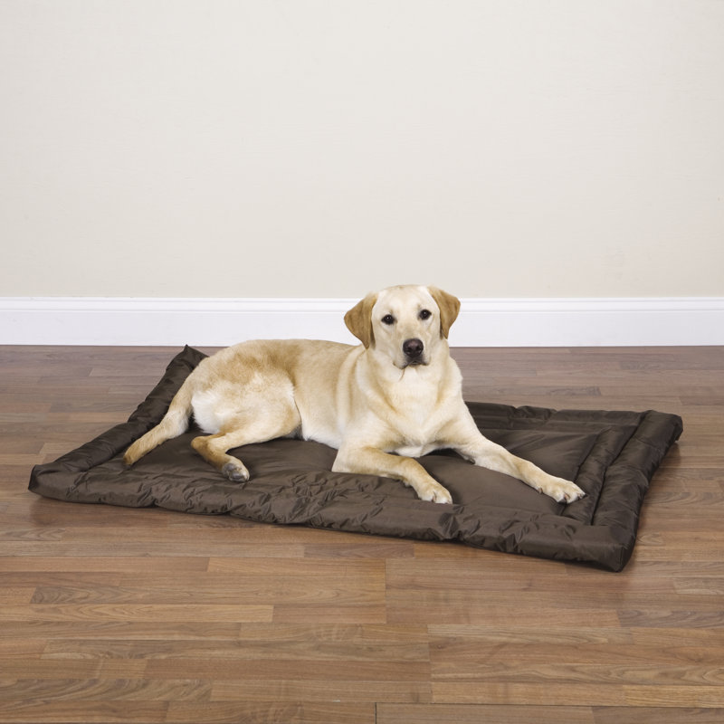 Tapis pour chien Roundtree, Grand (l 42 po x P 28 po x H 17 po), Bleu