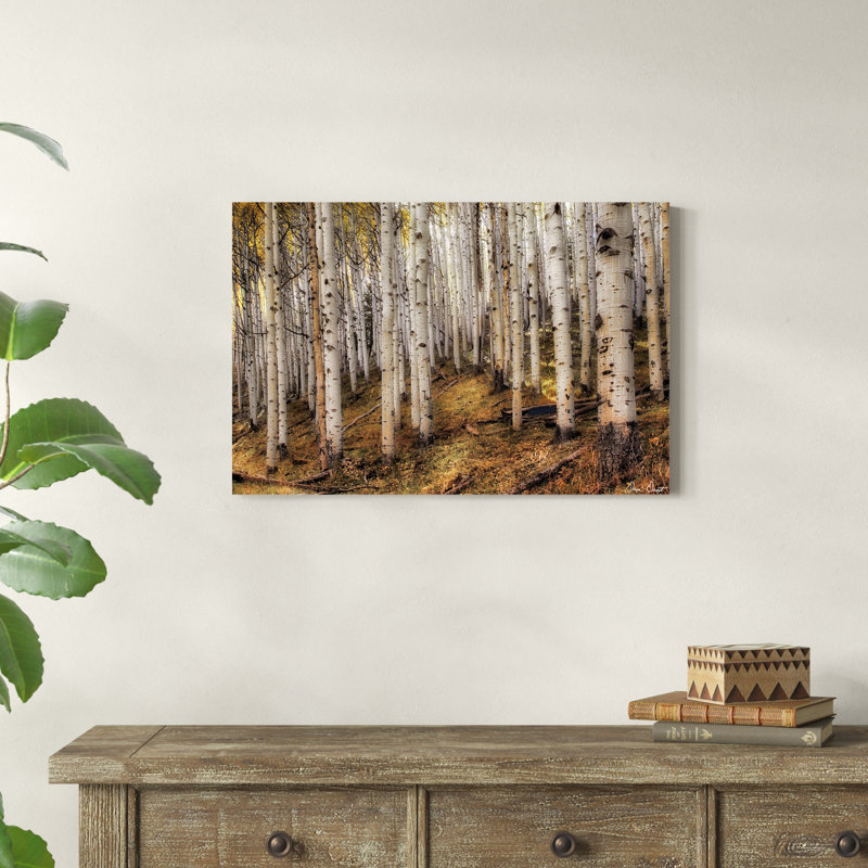«Aspen Woods», photographie sur toile, H 20 po x l 30 po