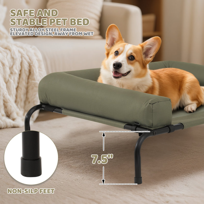 Portable Elevated Pet Bed Dog Cot Bed With Removable Bolster, Extra Small (35.5" W x 25.5" D x 7.5" H), Dark Green